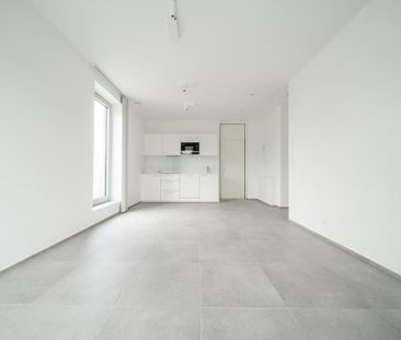 Rue Préixhe 20 Hermalle-sous-argenteau 4681, Hermalle-Sous-Argenteau - Photo 4