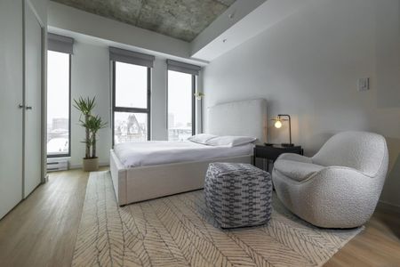 Rue St-Hubert, H2Y 0B9, Montréal - Photo 3