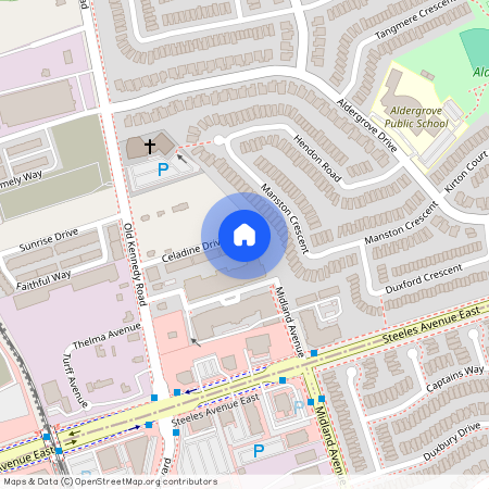 49 Celadine Drive, Markham