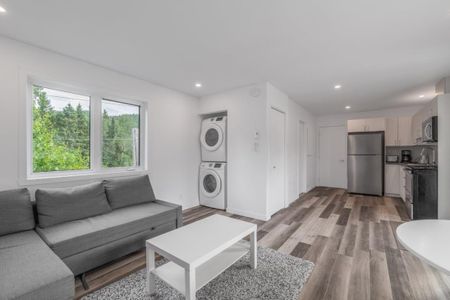 Appartement à louer - Petite-Rivière-Saint-François (Charlevoix) - Photo 4