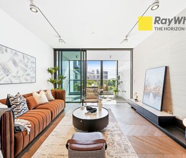 Modern CBD Living Opposite Hyde Park - 2 Bedroom Apartment availabl... - Photo 4