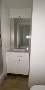 Location Appartement 1 pièce 19m² TOURS 37000 - Photo 4