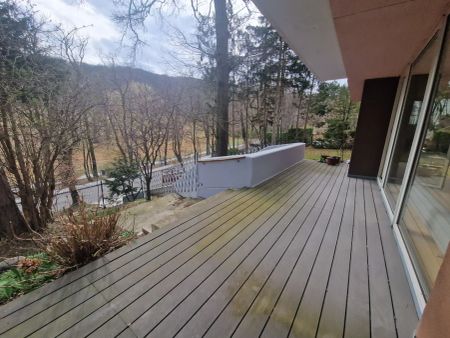 GARTENWOHNUNG + SAUNA + TERRASSE - GRÜNBLICK - 5 ZIMMER - Photo 2