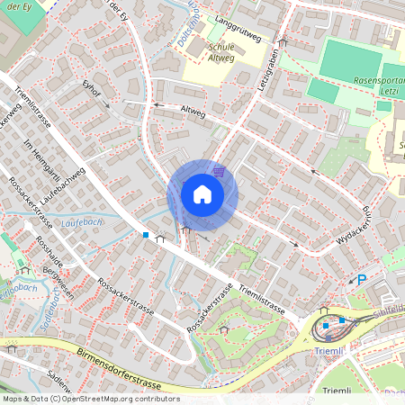 8047, Zürich, Letzigraben, 245