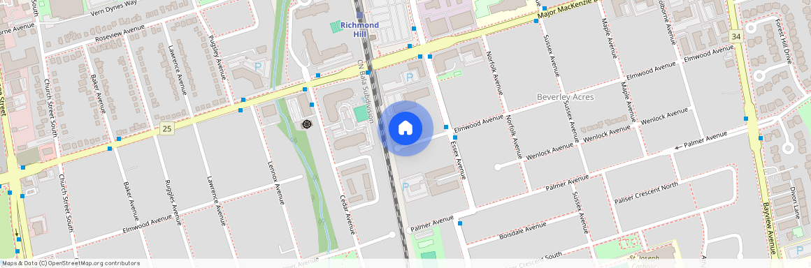 239 Elmwood Avenue, Richmond Hill