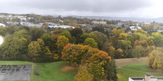 Appartement 3 pièces à Metz - Photo 3