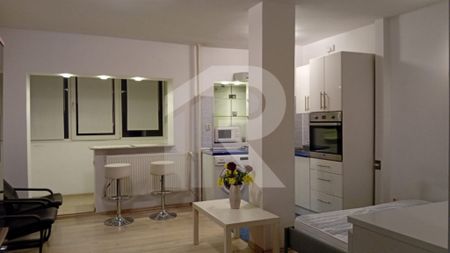 Garsoniera Titulescu - Banu Manta - Fotografie 2