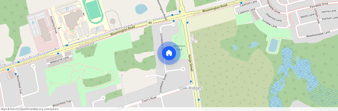 19 Grovepark Street Unit# Basement, Richmond Hill