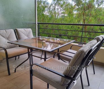 Location Appartement 1 pièce 28m² ANTIBES 06600 - Photo 3