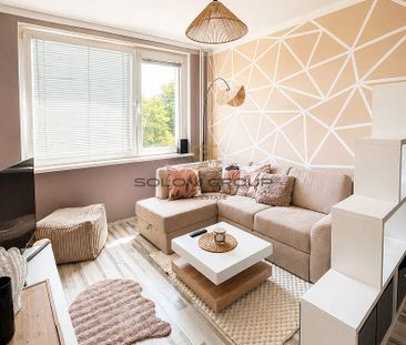 Pronájem bytu 2+kk 45 m² - Fotografie 5