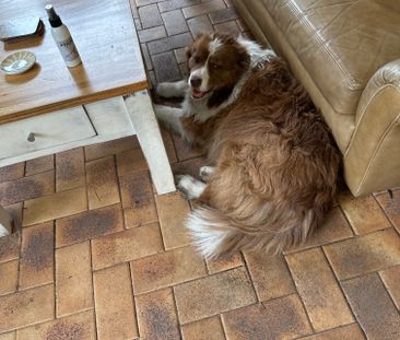 Helensvale - Photo 2