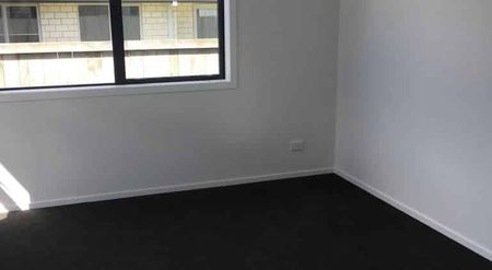 Living on Livingstone Drive - Photo 4