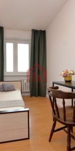 3 pokojowe mieszkanie na osiedlu Nowe Miasto - Photo 3