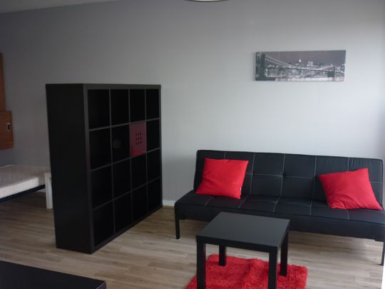 Location Appartement 1 pièce 33m² POITIERS 86000 - Photo 1