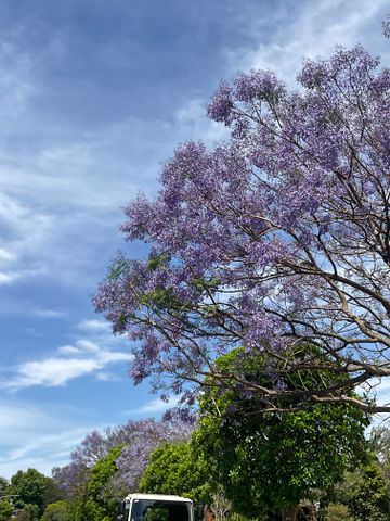 Alexandria - Photo 4