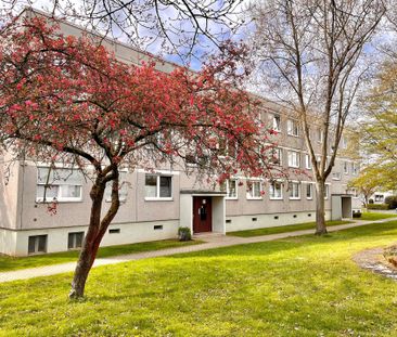 Gemütliche Erdgeschoß 3-Zimmer-Wohnung in Fritzlar - Photo 2