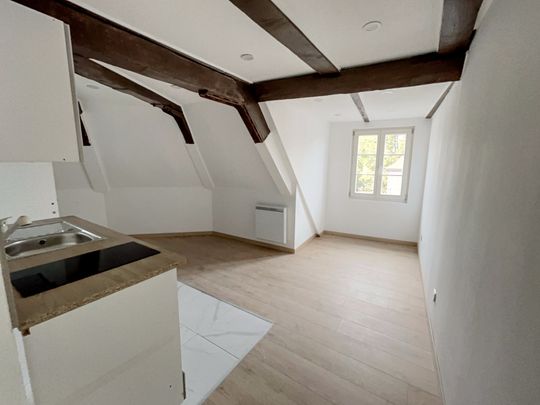 Location Appartement 1 pièce 22m² SELESTAT 67600 - Photo 1
