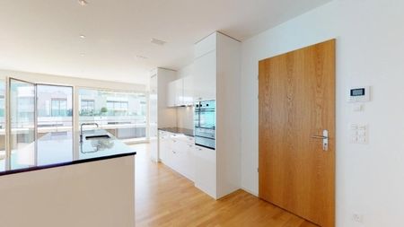 Deux terrasses privées au milieu de la ville de Lucerne - Photo 3
