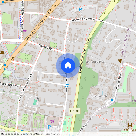 19 CHEMIN DE LA POMME, MAISON JULIETTE, TASSIN LA DEMI LUNE Montribloud-Boyer