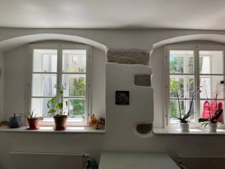 Charmante Altbau-Wohnung mit Loggia und einem Garten - Foto 2