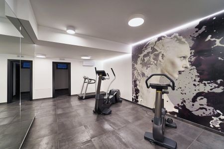 ATTICO VISTA LAGO A PARADISO ARREDATO - Photo 5