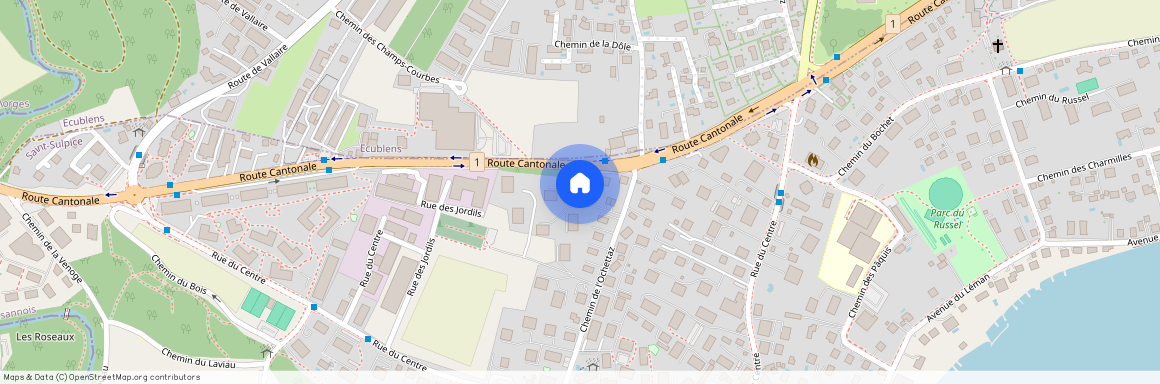 1025, St-Sulpice VD, Chemin de l'Ochettaz 29 A, 29A