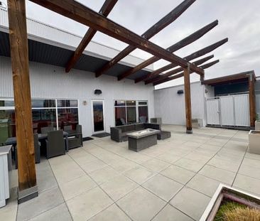 Sole on St. Paul – Great Location - Photo 5