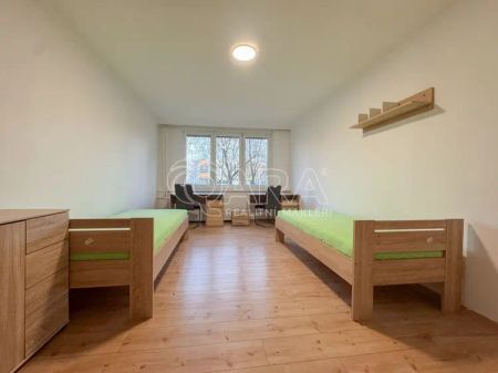 K PRONÁJMU - studentské bydlení pro 3-5 osob ve zrekonstruovaném bytě 3+1 - kousek od univerzity ČB - Fotografie 4