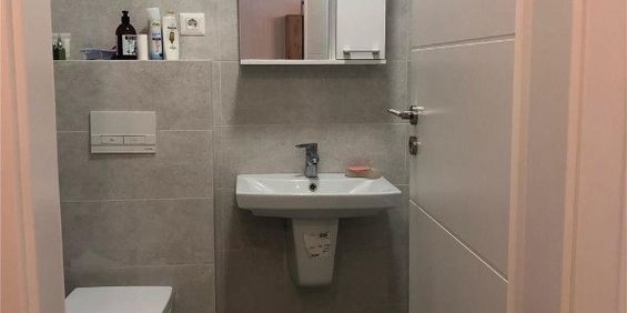 1 camera in zona Spitalul Judetean - Photo 3