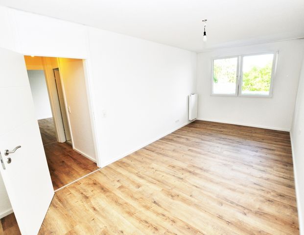 Rodenkirchen-Zentrum: Ruhige, modernisierte Zweizimmerwohnung mit großem Balkon und TG.-Stellplatz ! - Photo 1