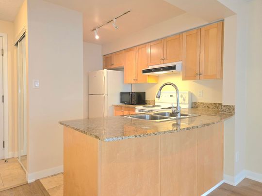 For Lease - 313 Richmond Street Unit# 1051, Toronto, Ontario - Photo 1