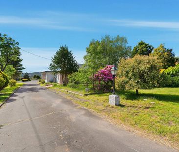 Spacious Family Living - Photo 6