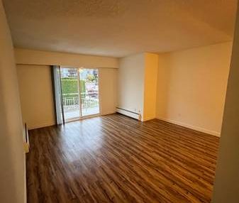 Beautiful 1 Bedroom Apartment - Photo 2