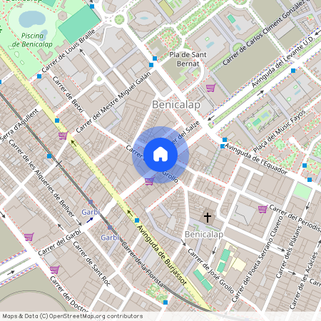 Carrer del Pintor Matarana, Valencia, Valencian Community 46025