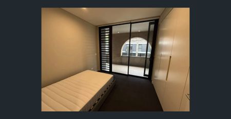 Fashionable Furnished Two bedroom in Glebe - Photo 5