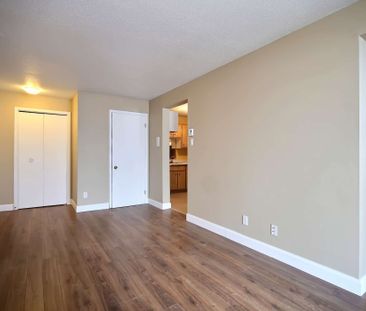 103 · Demi-sous-sol - Photo 4