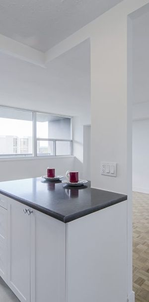 North Shore Towers - Photo 1