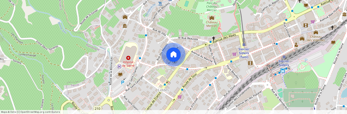 Rue De La Treille 5, 3960 Sierre