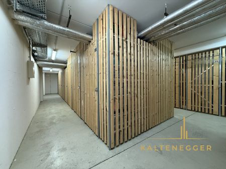 Modernes Zuhause für Singles und Paare: Helle 2-Zimmer-Wohnung mit Loggia bei U6 Alterlaa - 5. Stock - Photo 4