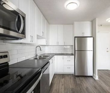 Pet-Friendly Suites with Open-Concept Kitchens (Albert St) - Photo 1