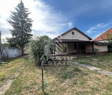 Casa Individuala 3 camere, Gradiste - Fotografie 6