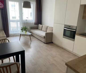 2+kk Olomouc - Horova - Fotografie 4