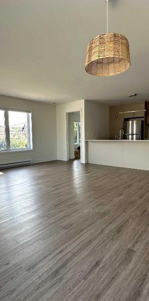 5 1/2 à louer - L'assomption, St-gérard-de-majella ( Inclus: Électros complet, 2 stationnements, cabanon, air climatisé) - Photo 1