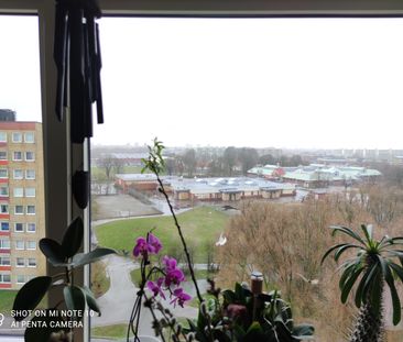 Ramels väg, Malmö - Photo 4