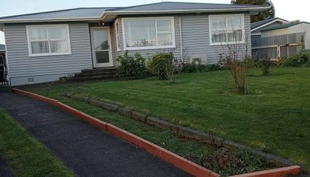 Charming 3BR Family Haven in Awapuni - Photo 3