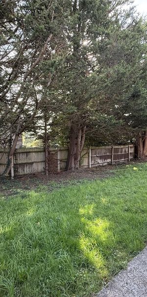 studio to rent Midanbury Lane, Southampton, Hampshire, SO18 - Photo 2