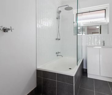 Fully Renovated 1 Bedroom - Photo 3