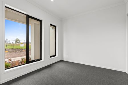 Brand New Delight! - Photo 3