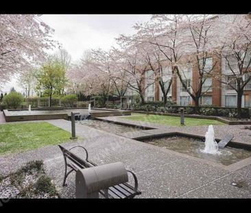 618 West 45th Ave 223 Vancouver - Photo 2