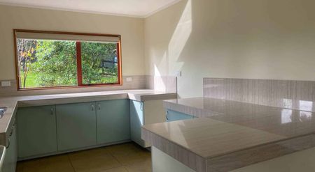 Warm and Sunny Home in Great Location - Photo 3